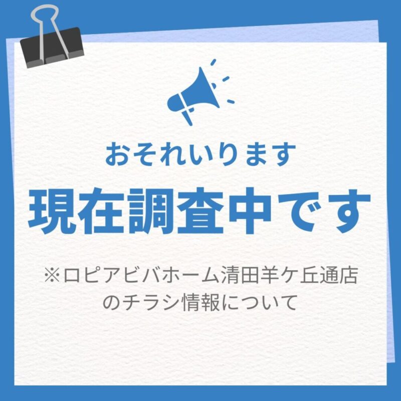 ロピアビバホーム清田羊ケ丘通店のチラシ20241225